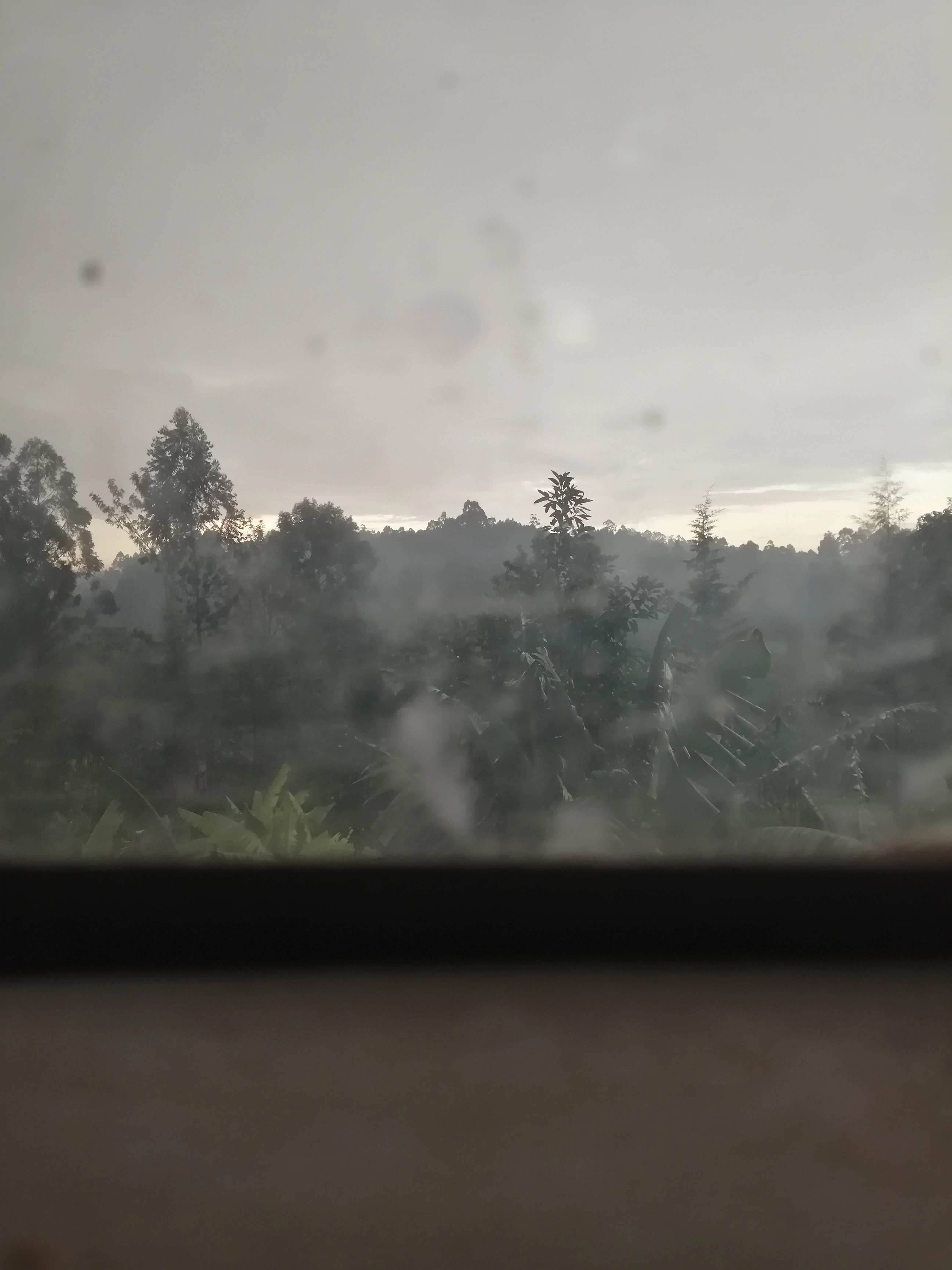 View of misty trees and hills through a window on a cloudy day
